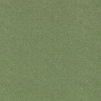 Becket Fern